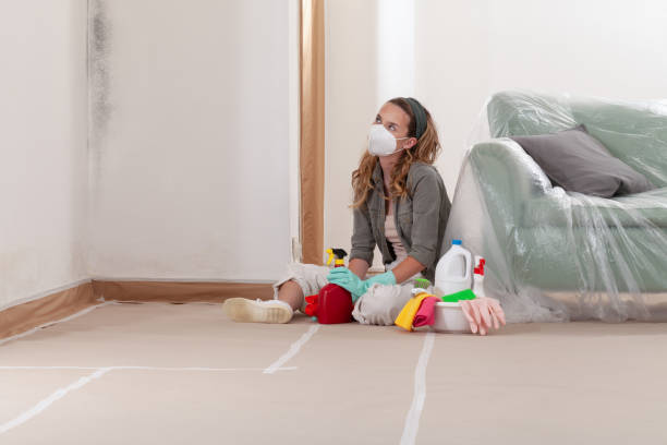 Reliable Basement Mold Remediation contractor in Paoli, PA by WQB Mold Removal